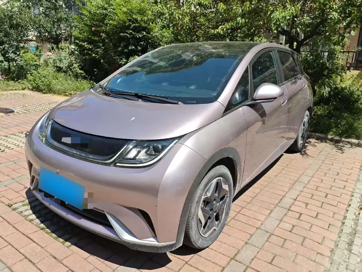 2021 BYD Dolphin BEV 44.9KWH
