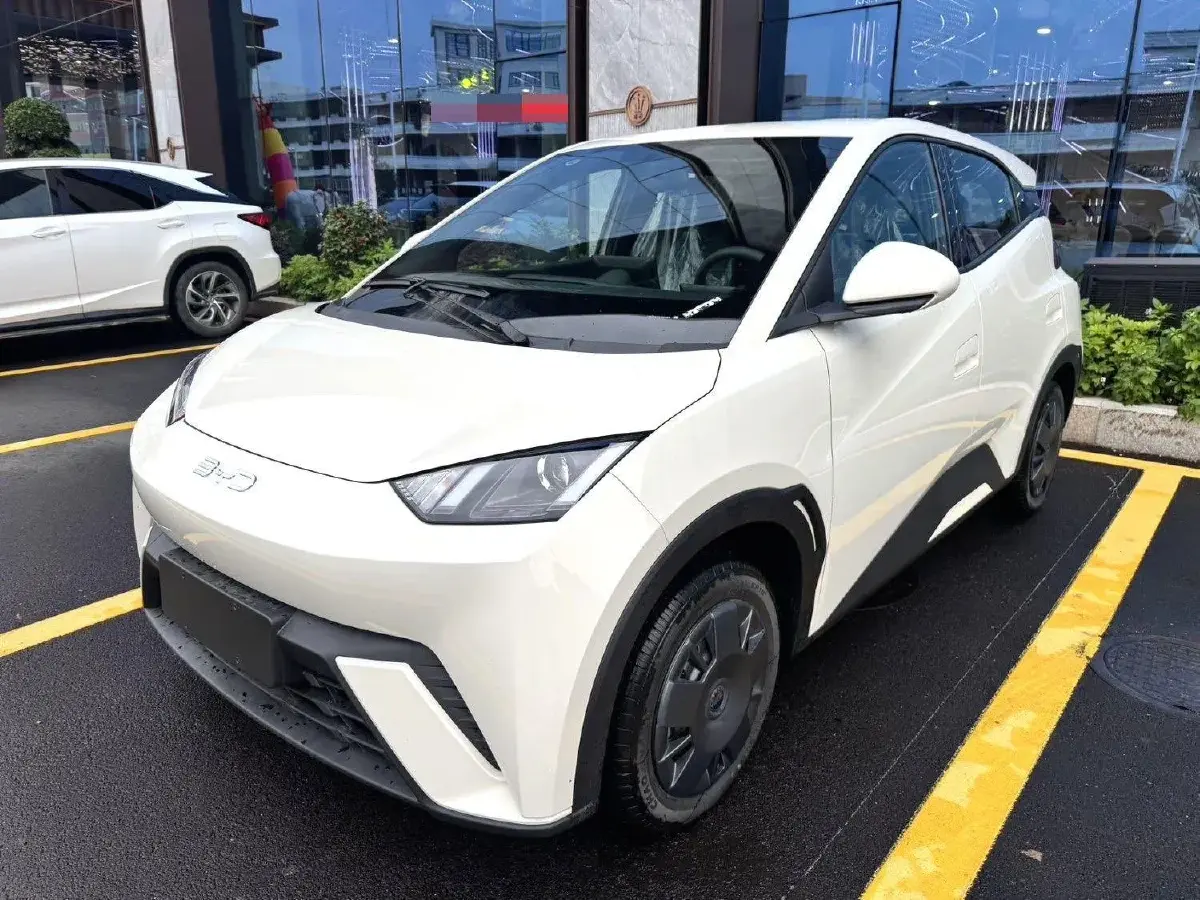 2025 BYD Seagull BEV 30.08KWH