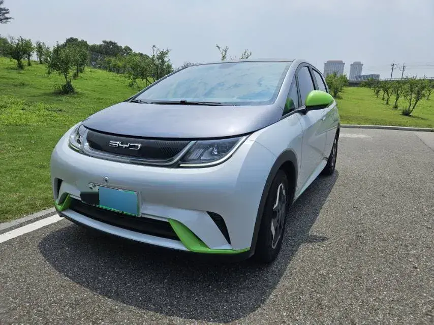 2021 BYD Dolphin BEV 44.9KWH