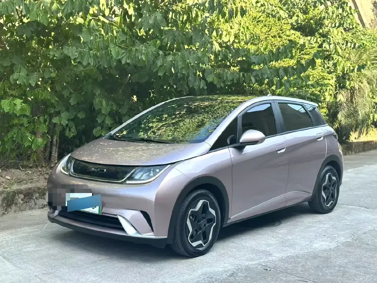 2021 BYD Dolphin BEV 44.9KWH