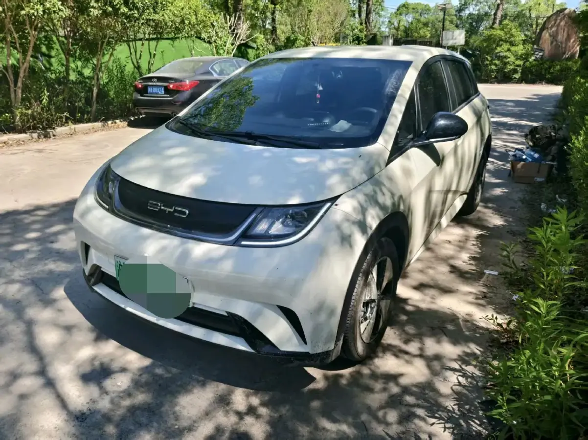 2023 BYD Dolphin BEV 44.928KWH
