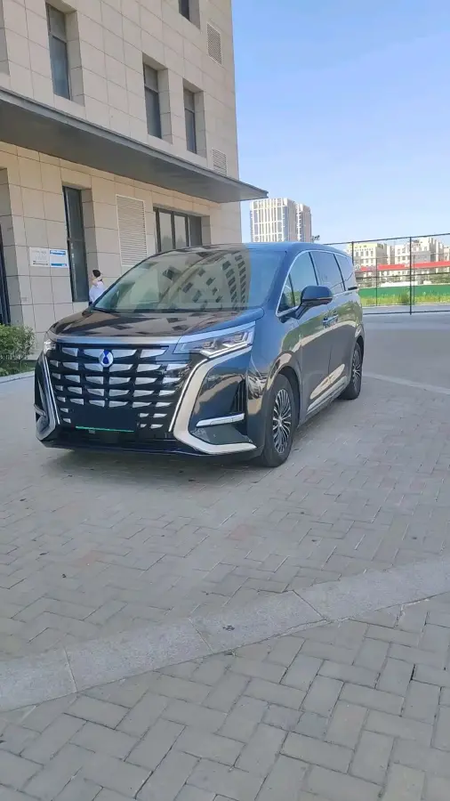 2022 Denza D9 1.5T 139HP L4 E-CVT PHEV 40.06KWH