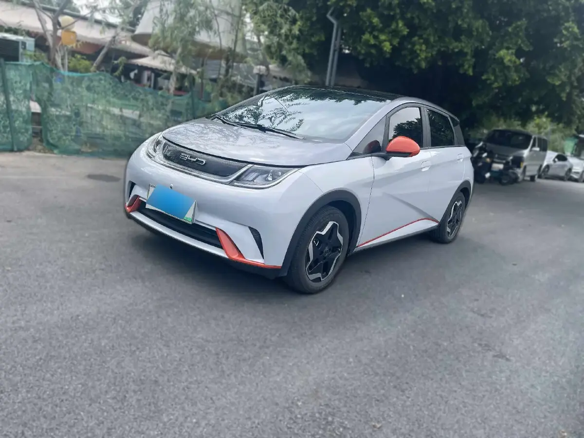 2021 BYD Dolphin BEV 44.9KWH