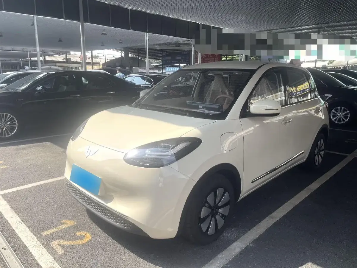 2024 WuLing BinGuo BEV 31.9KWH