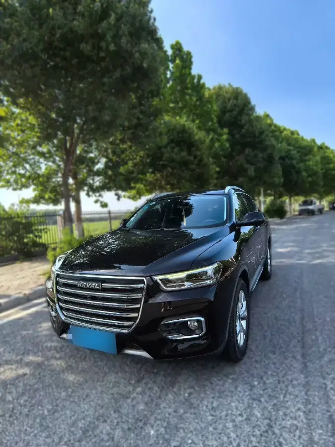 2019 Haval H6 1.5T 169HP L4 7DCT
