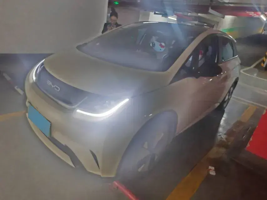2023 BYD Dolphin BEV 44.928KWH