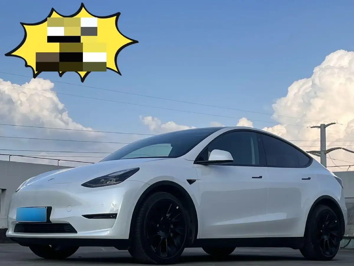 2021 Tesla Model Y BEV 76.8KWH