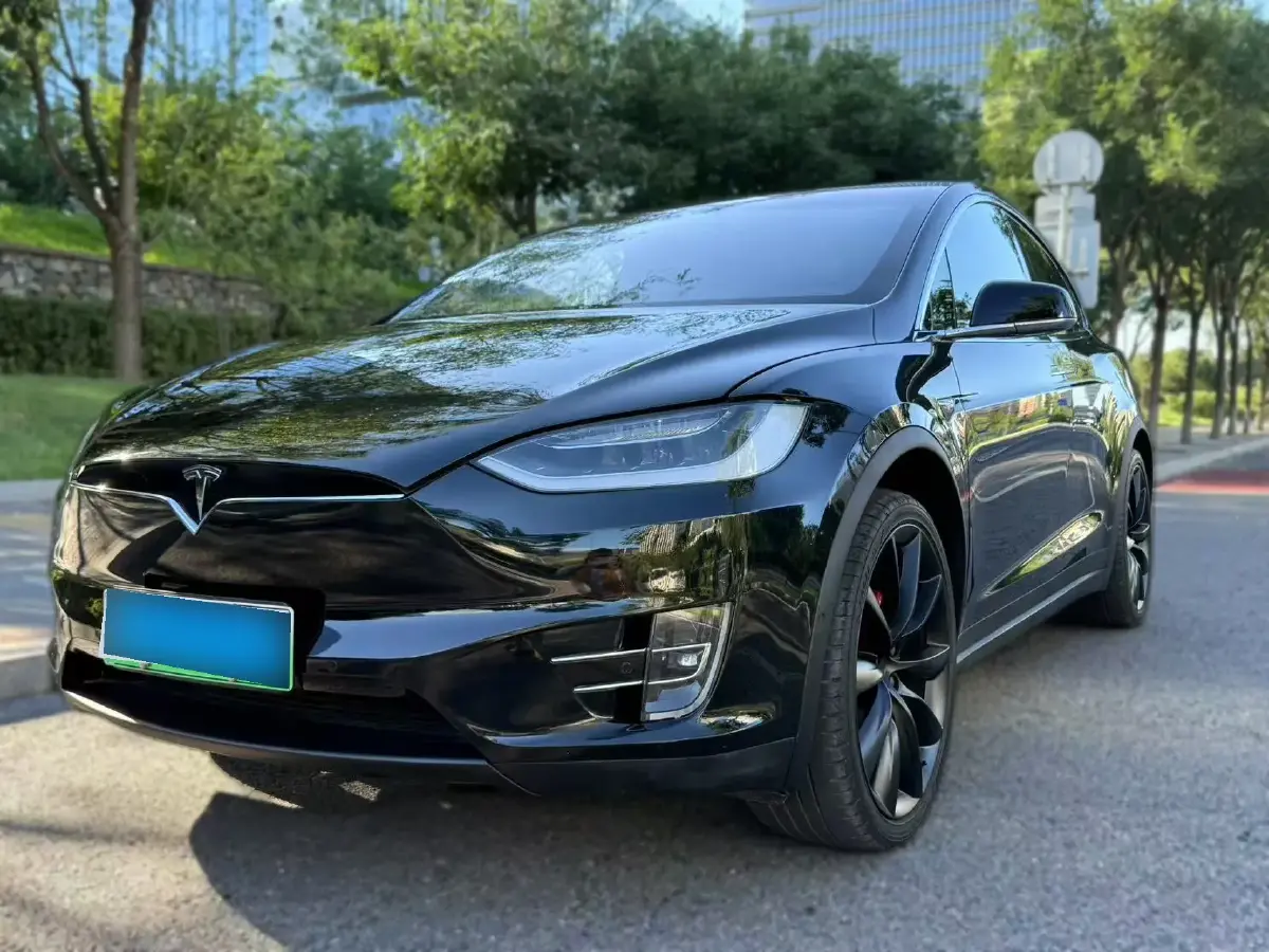 2019 Tesla Model X BEV 100KWH