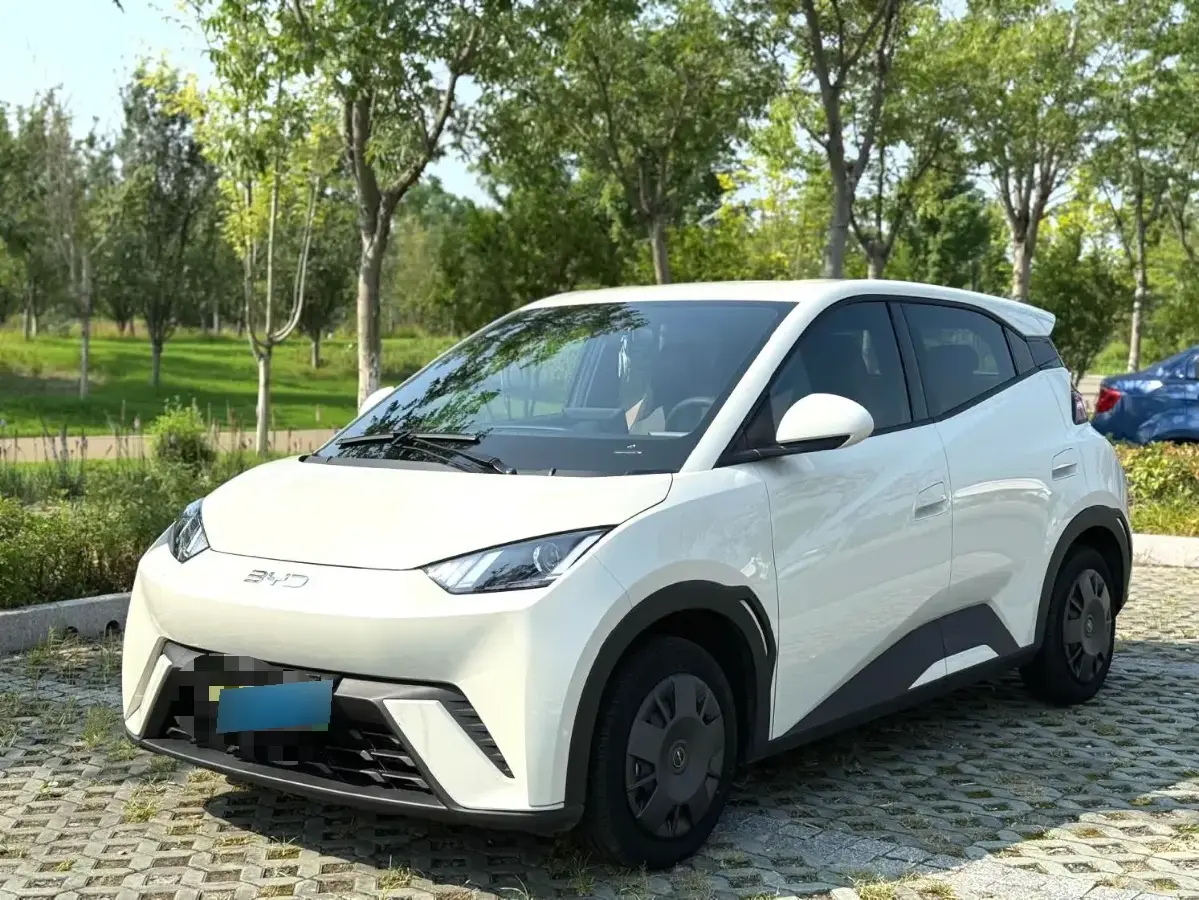 2024 BYD Seagull BEV 30.08KWH