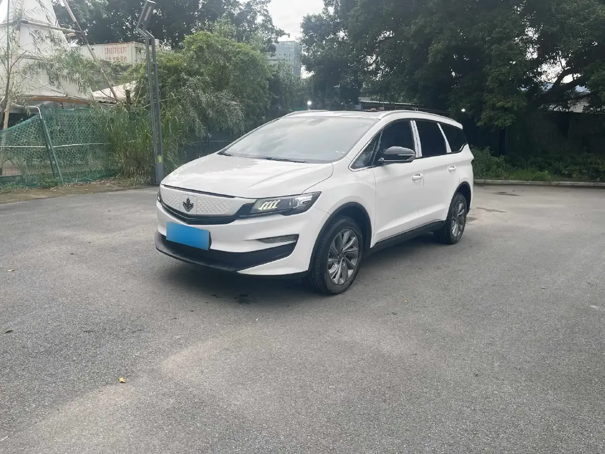 2021 LiFan Maple 80v BEV 53KWH