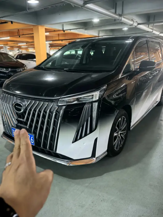 2024 GAC Trumpchi M8 2.0T 252HP L4 8AT