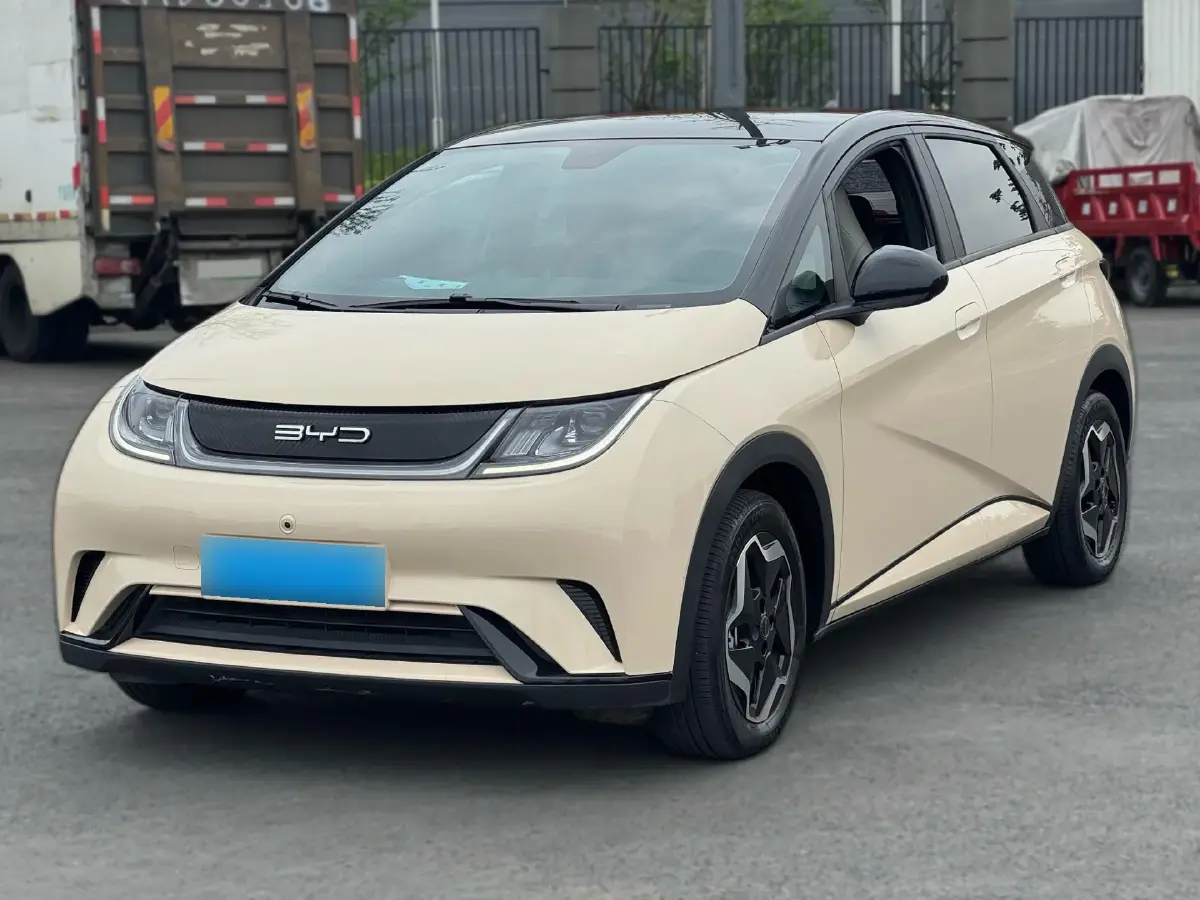 2021 BYD Dolphin BEV 44.9KWH