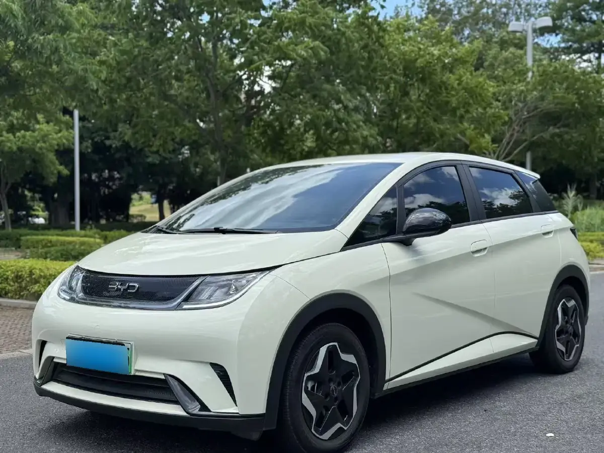 2025 BYD Dolphin BEV 44.928KWH
