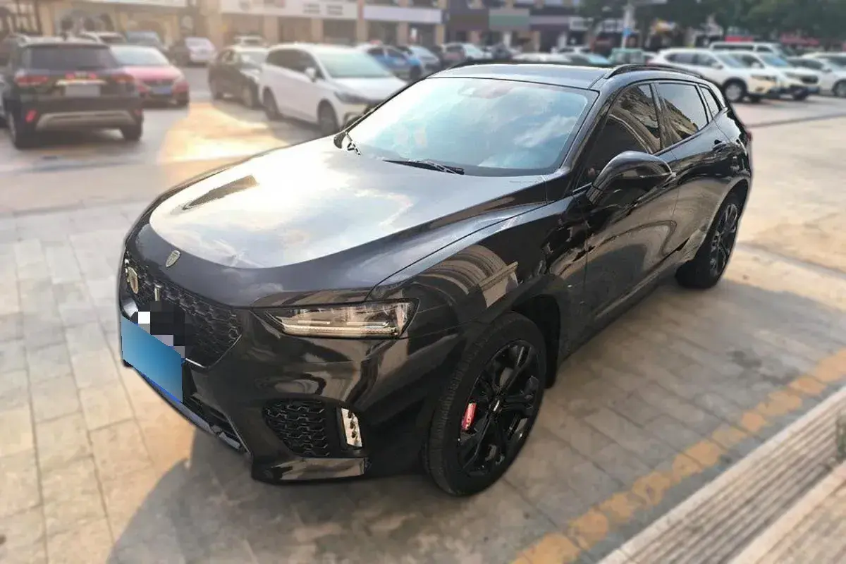2019 WEY VV7 2.0T 227HP L4 7DCT