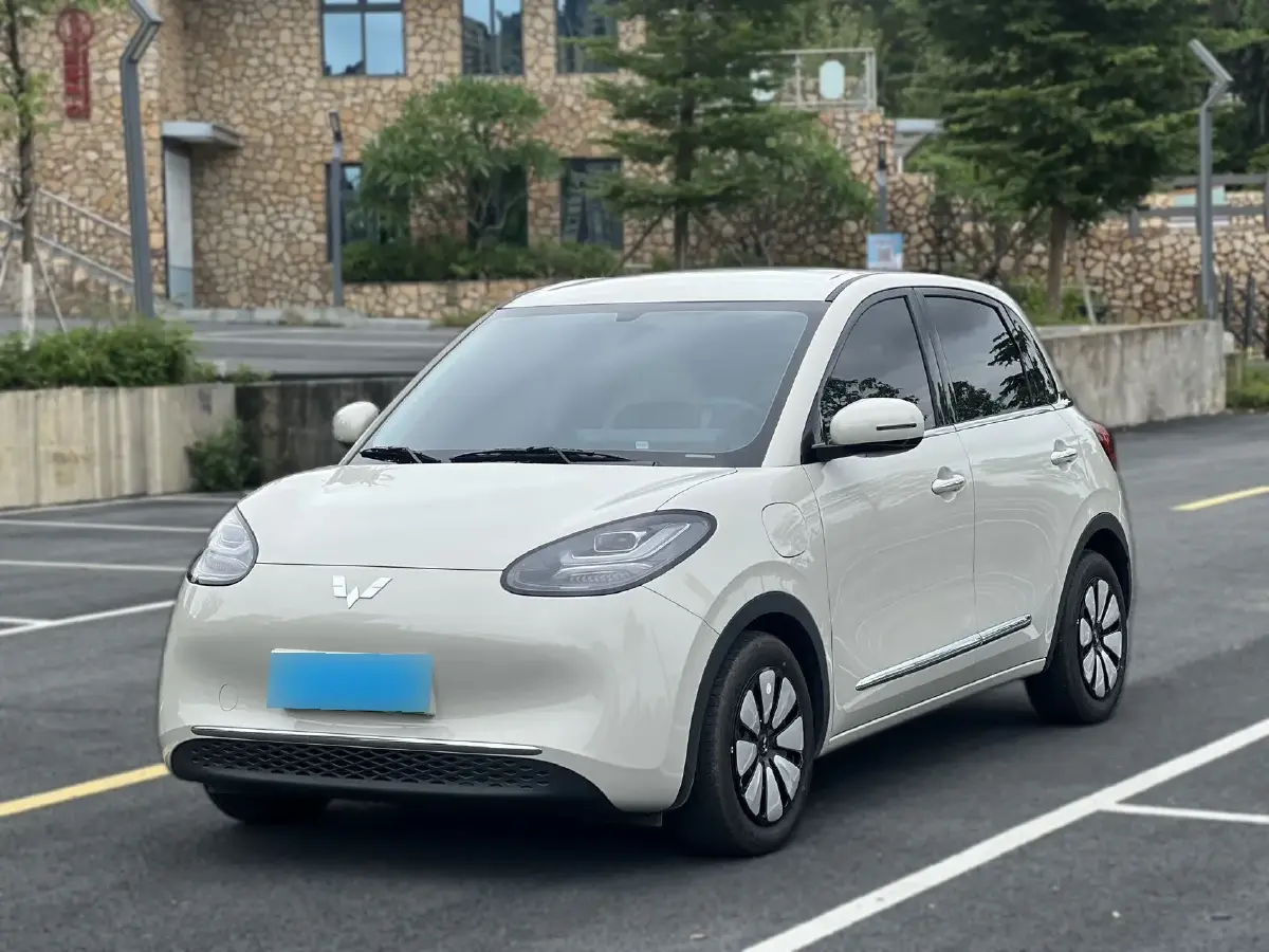 2024 WuLing BinGuo BEV 31.9KWH