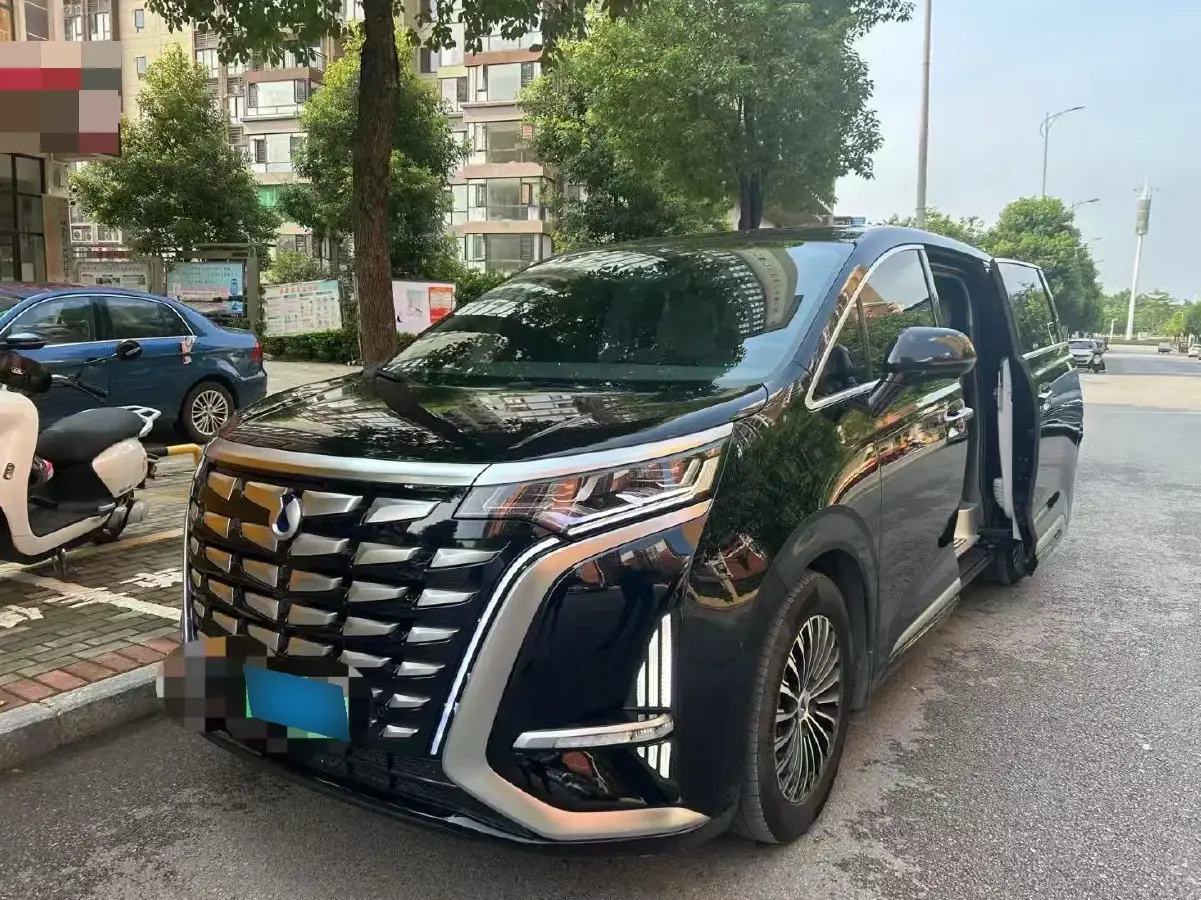 2022 Denza D9 1.5T 139HP L4 E-CVT PHEV 40.06KWH