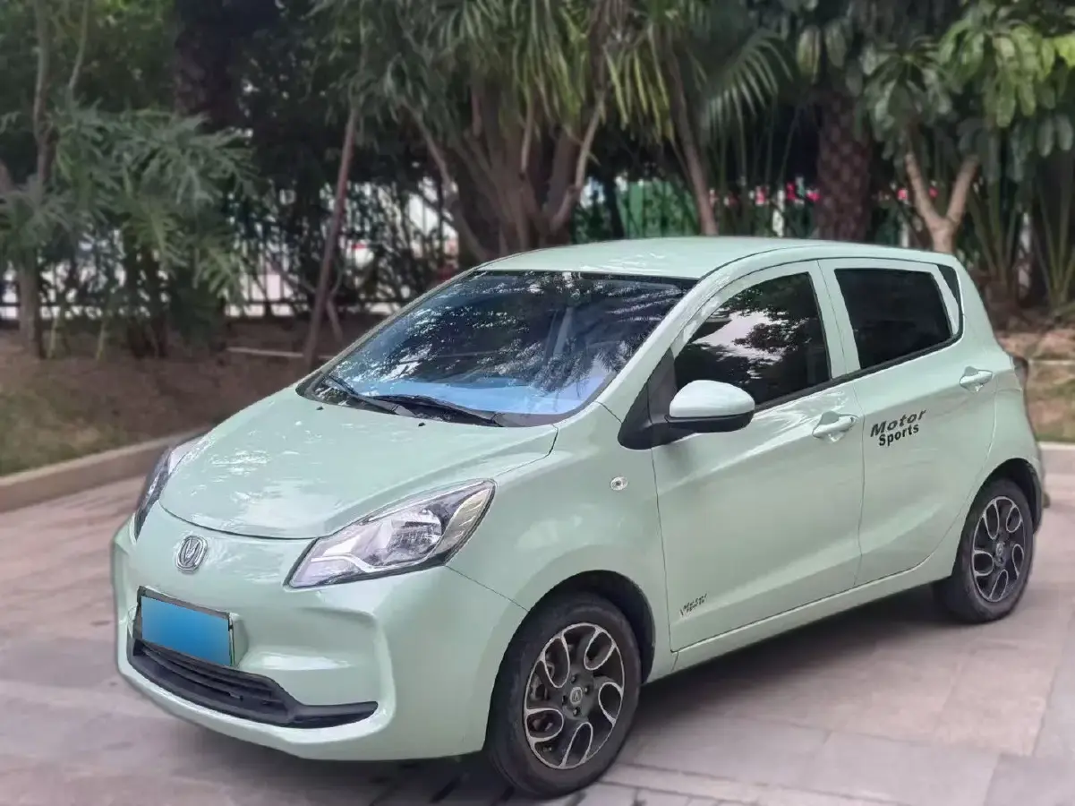 2021 ChangAn BenBen E-Star BEV 31.95KWH