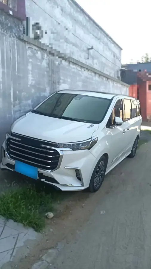 2020 MAXUS G20 2.0T 163HP L4 8AT