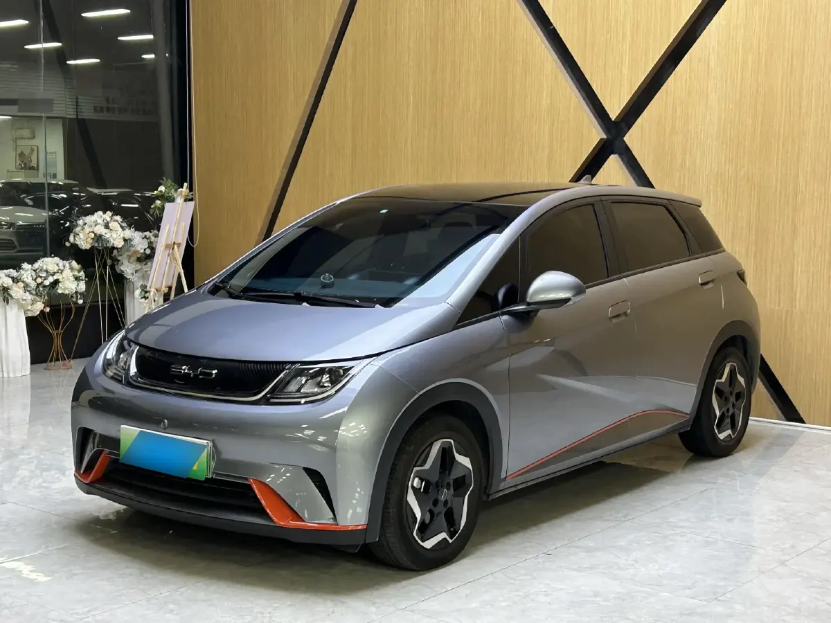 2021 BYD Dolphin BEV 44.9KWH 2021 BYD Dolphin BEV 44.9KWH