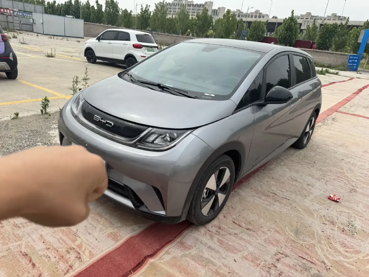 2023 BYD Dolphin BEV 44.928KWH