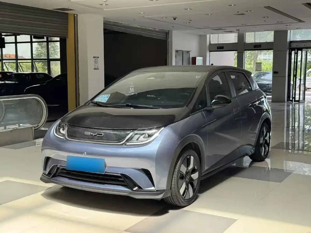 2023 BYD Dolphin BEV 44.928KWH