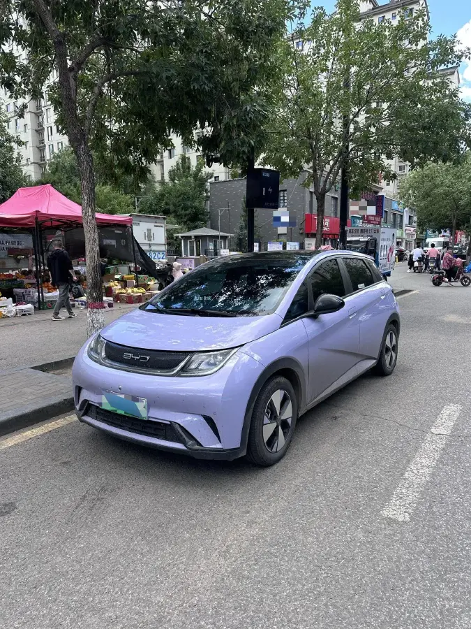 2023 BYD Dolphin BEV 44.928KWH