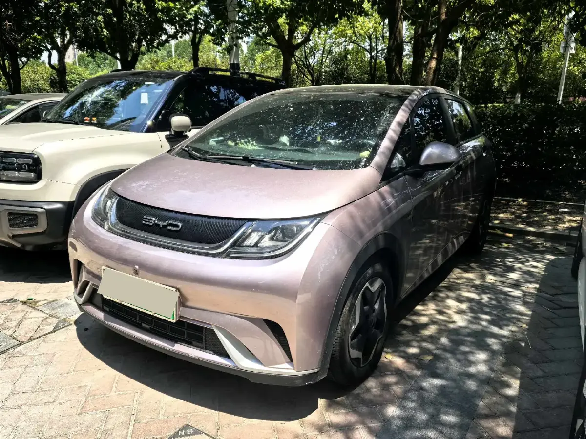 2021 BYD Dolphin BEV 44.9KWH