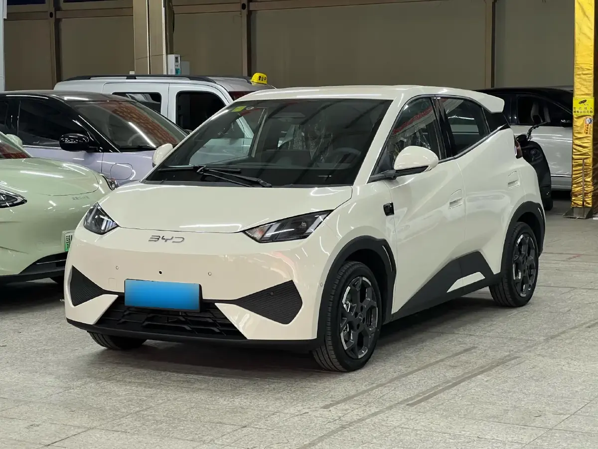2025 BYD Seagull BEV 30.08KWH