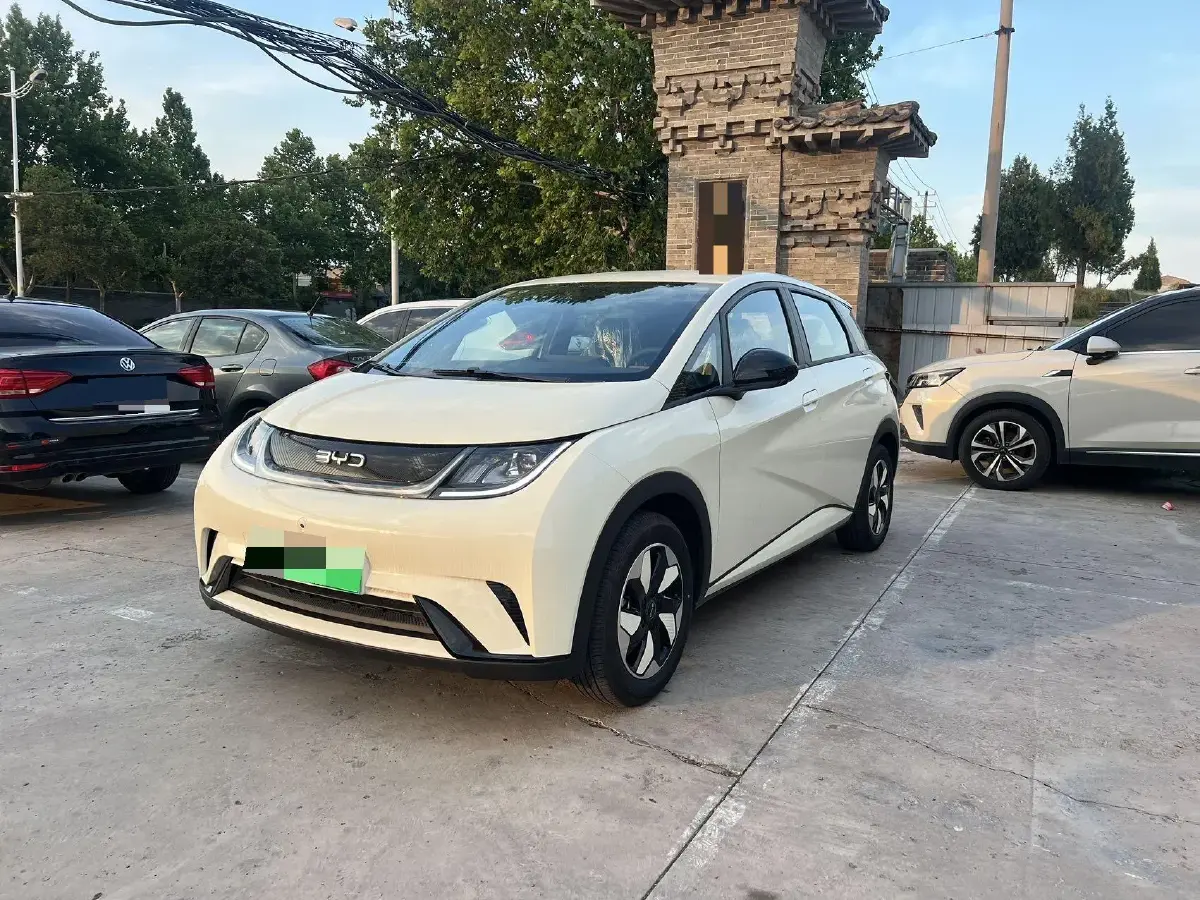 2025 BYD Dolphin BEV 44.928KWH