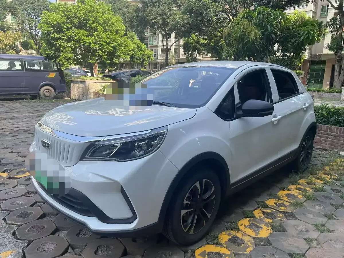 2021 Geometry EX3 BEV 37.23KWH