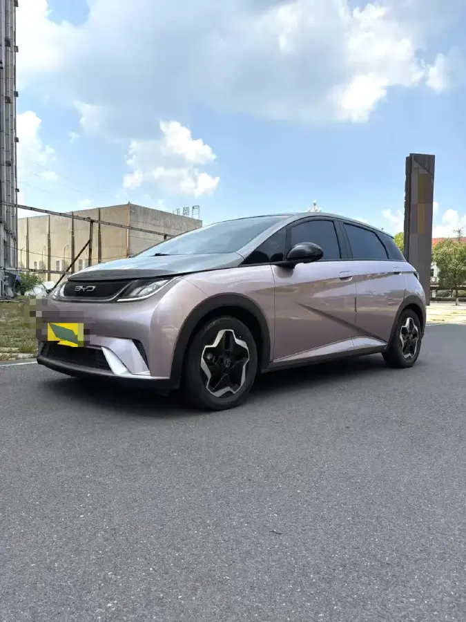 2021 BYD Dolphin BEV 44.9KWH