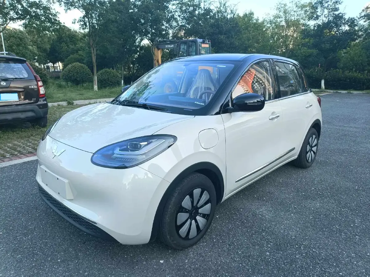 2025 WuLing BinGuo BEV