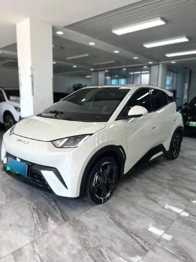2023 BYD Seagull BEV 38.88KWH