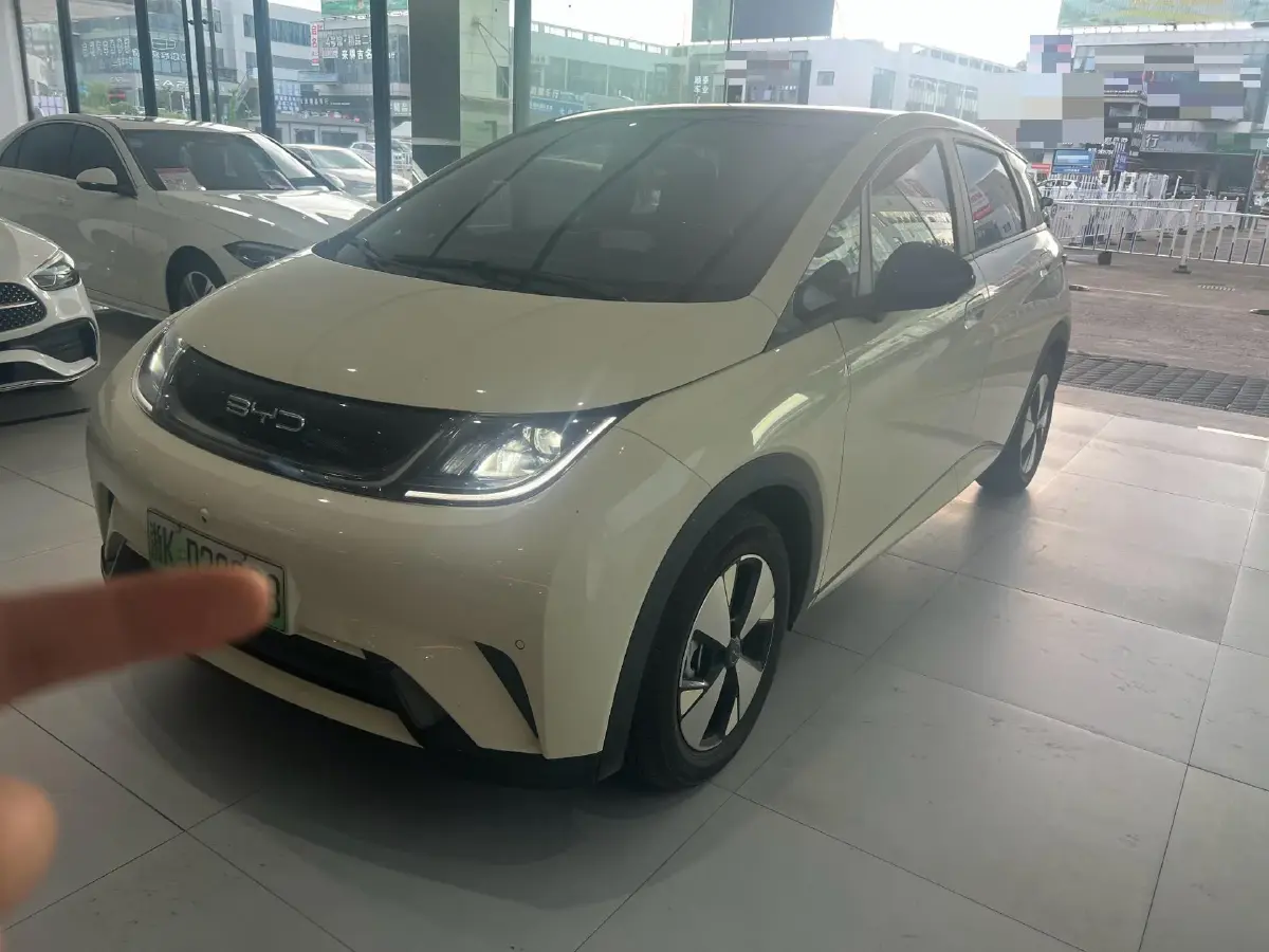 2023 BYD Dolphin BEV 44.928KWH