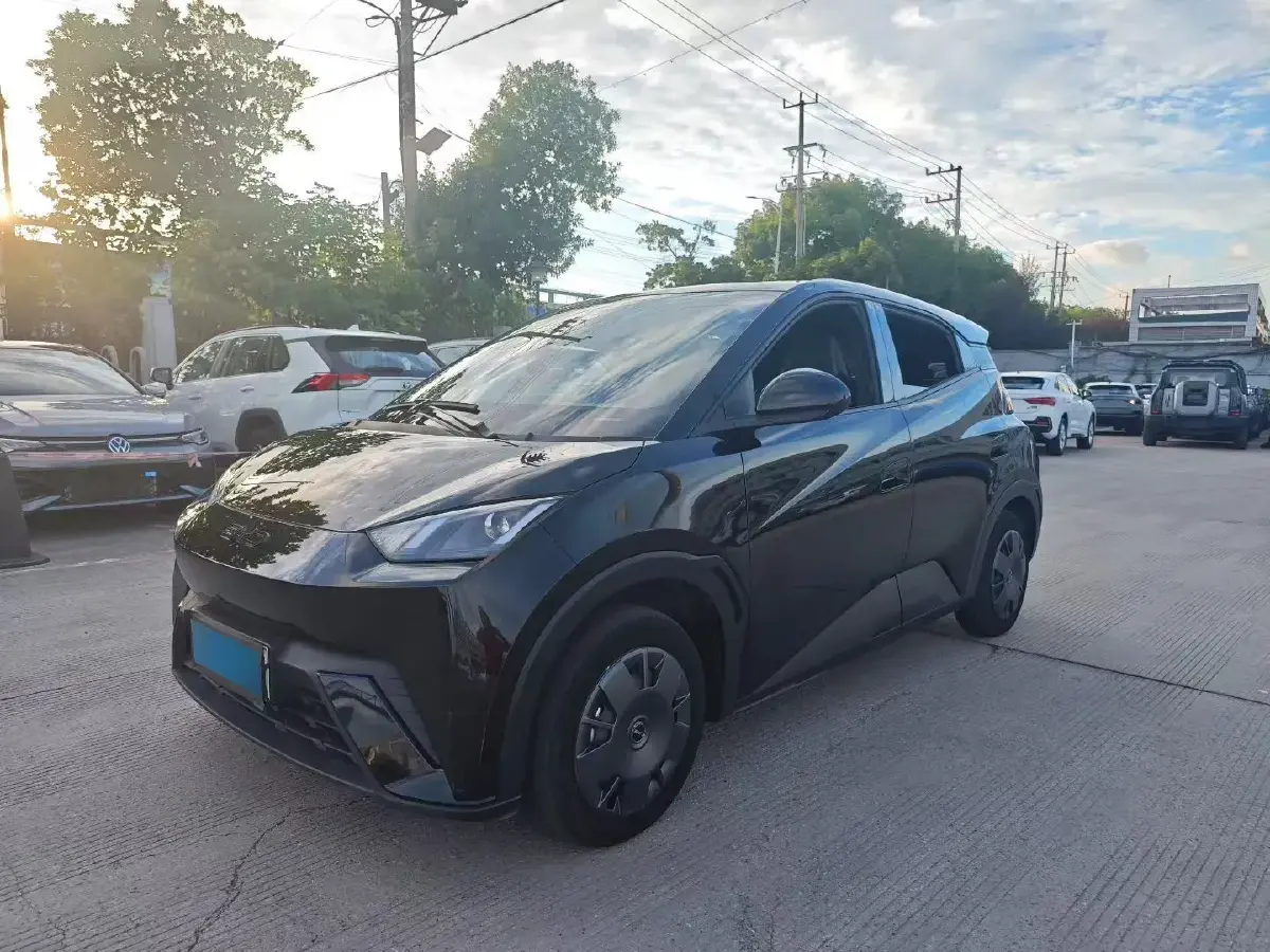 2024 BYD Seagull BEV 30.08KWH