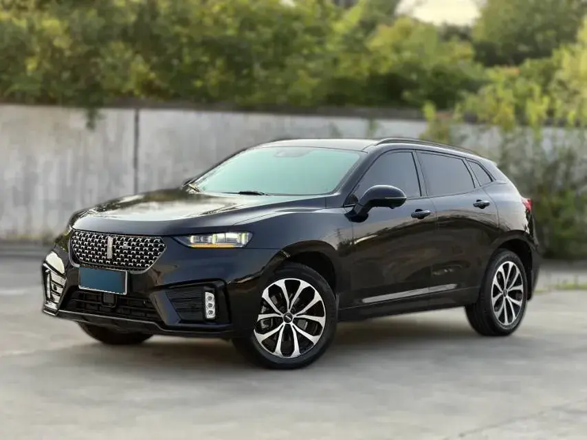 2020 WEY VV7 2.0T 227HP L4 7DCT