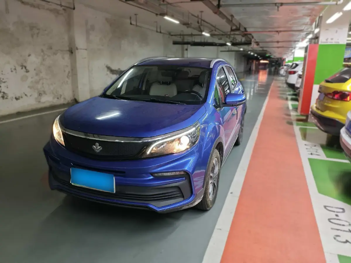 2020 Livan Maple 30X BEV 37KWH