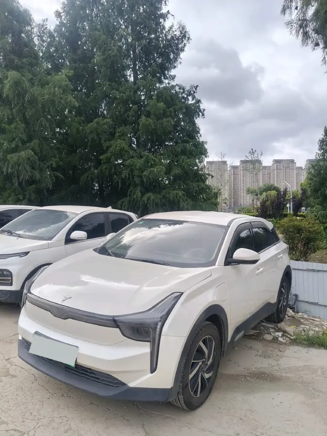 2020 Neta U BEV 54KWH