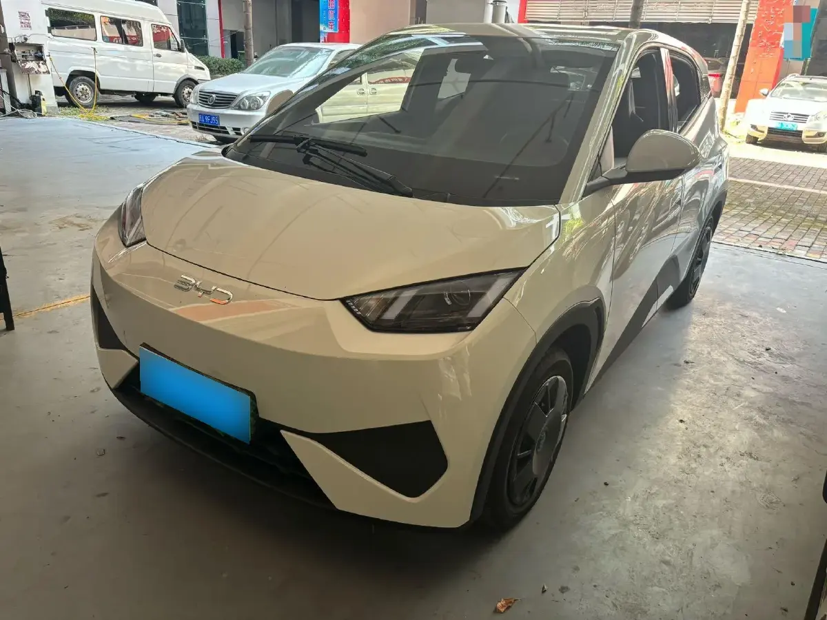 2025 BYD Seagull BEV 30.08KWH