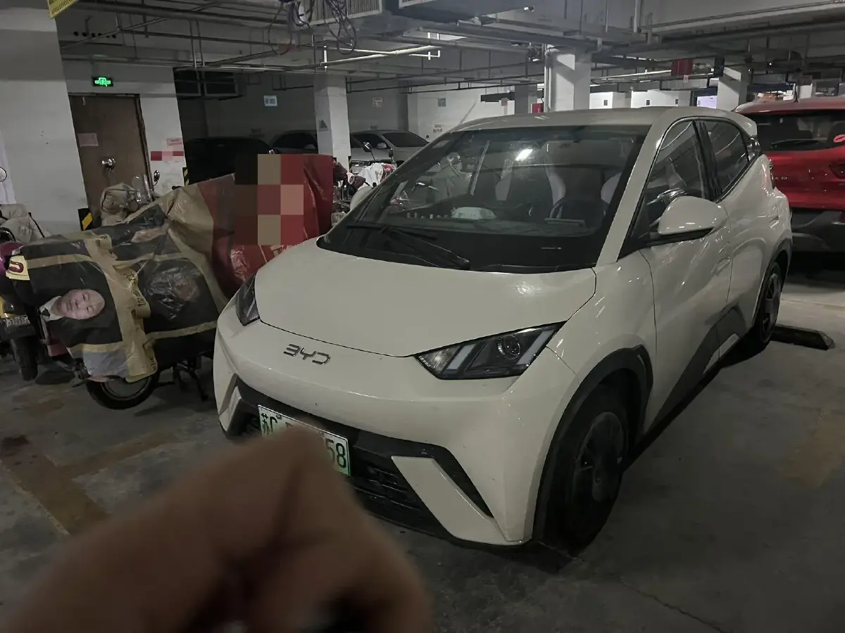 2024 BYD Seagull BEV 30.08KWH