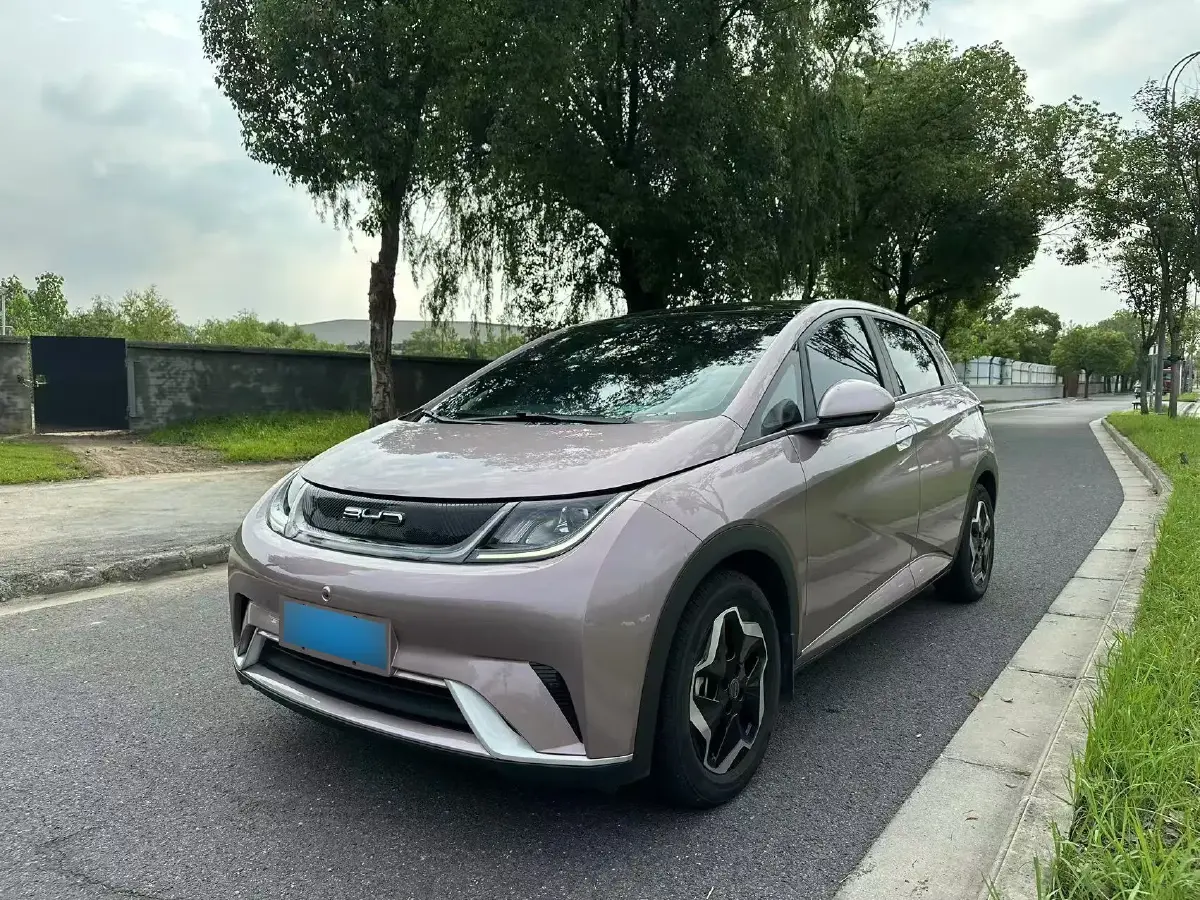 2021 BYD Dolphin BEV 44.9KWH