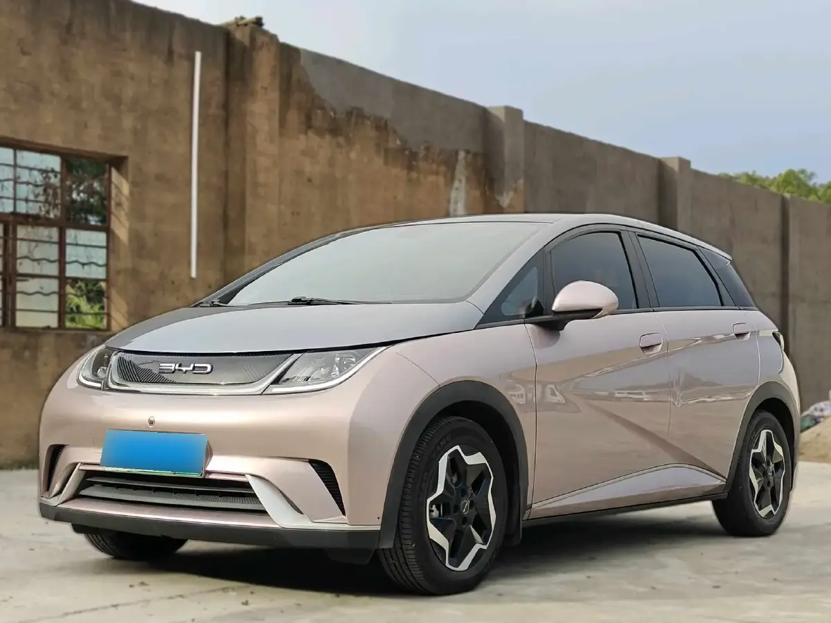 2021 BYD Dolphin BEV 44.9KWH
