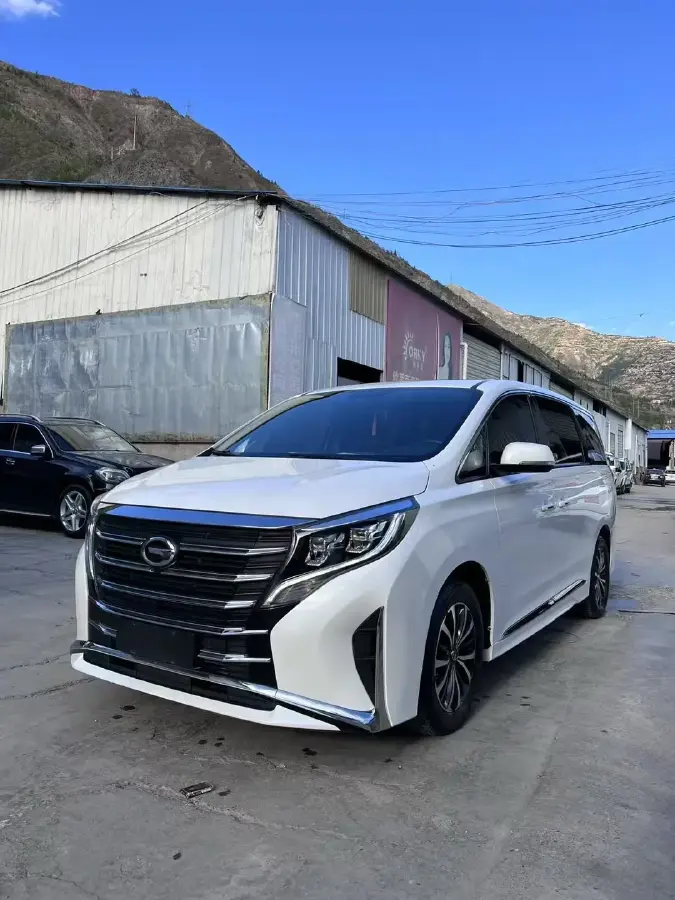 2021 GAC Trumpchi M8 2.0T 252HP L4 8AT