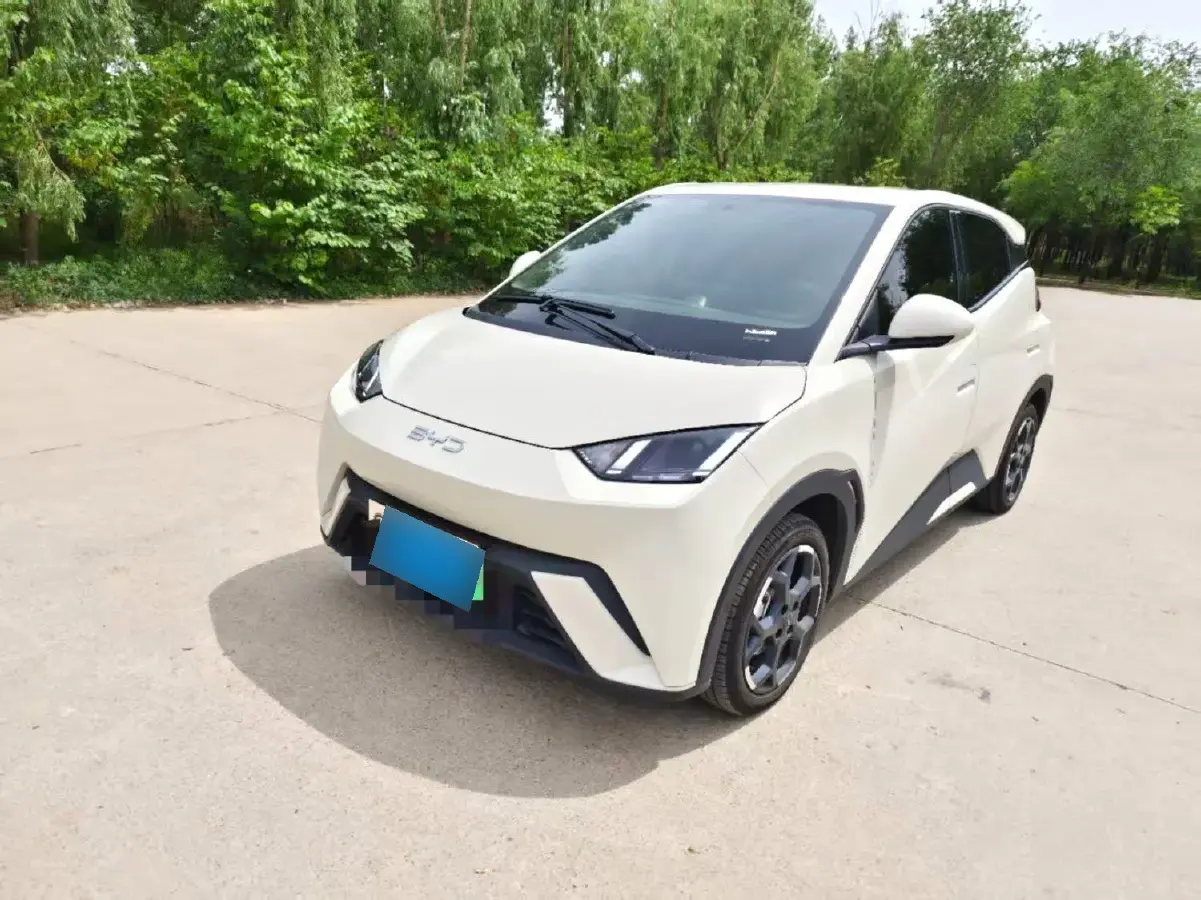 2025 BYD Seagull BEV 38.88KWH