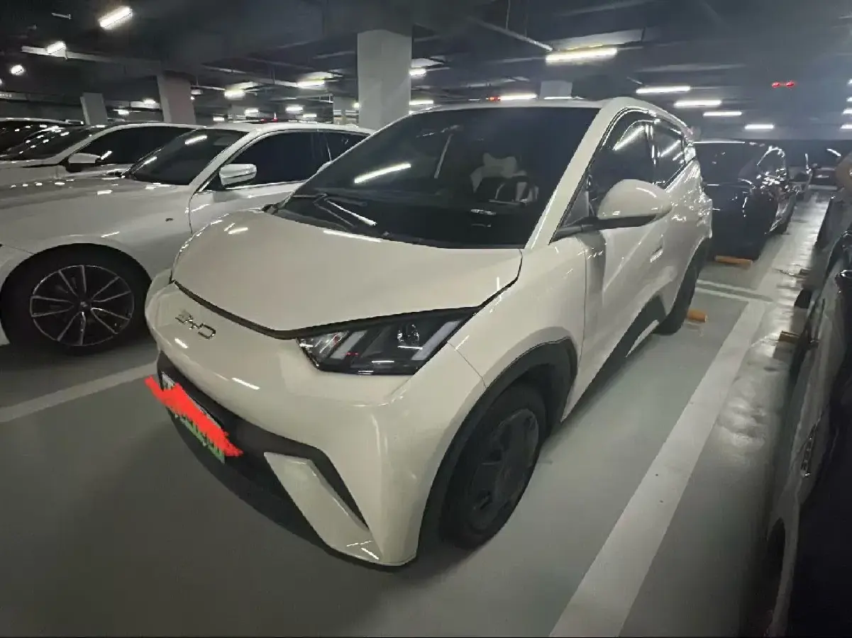 2023 BYD Seagull BEV 30.08KWH