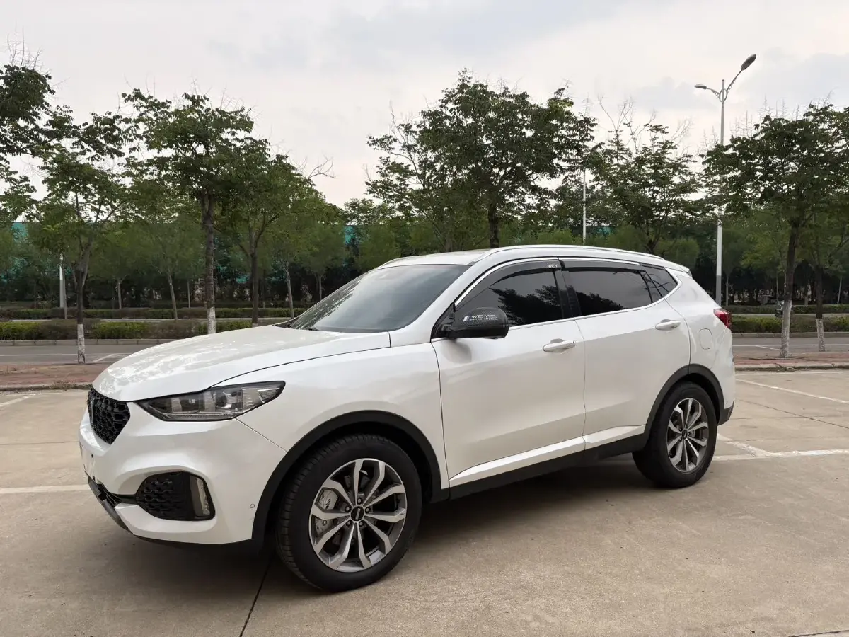 2019 WEY VV6 2.0T 224HP L4 7DCT