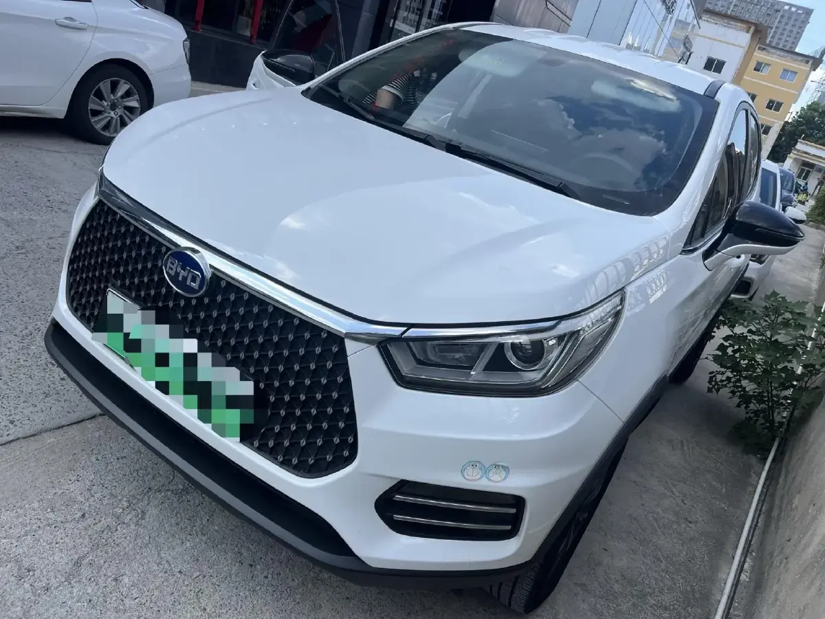2019 BYD S2 BEV 40.62KWH