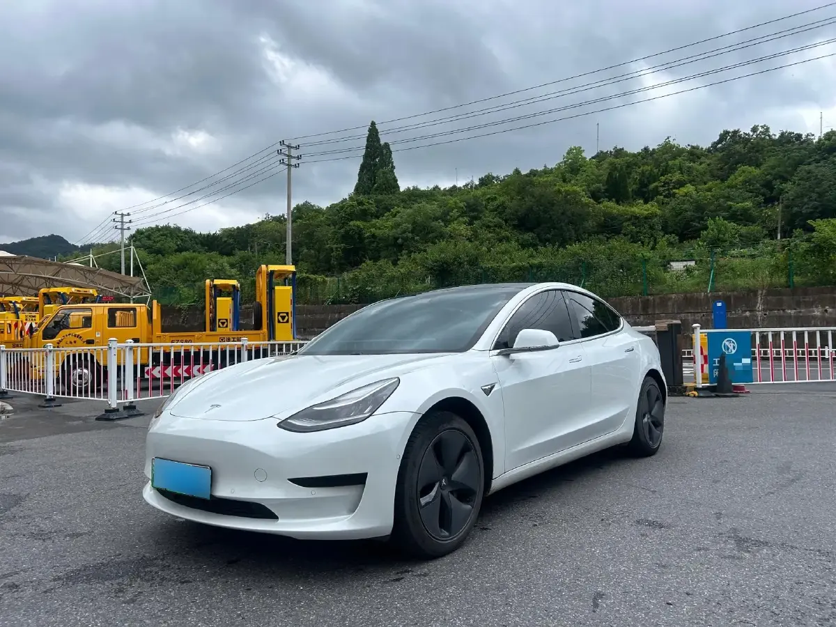 2019 Tesla Model 3 BEV 52KWH