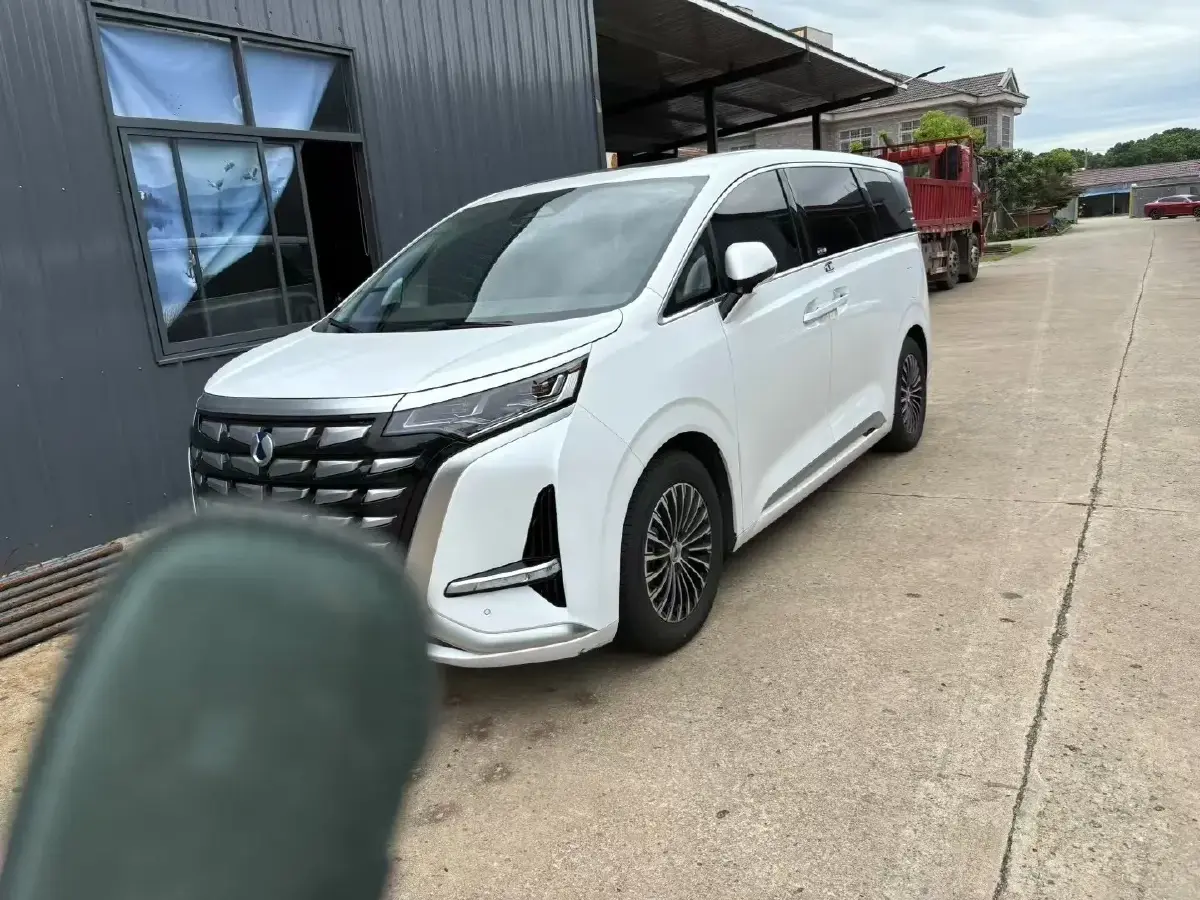 2022 Denza D9 1.5T 139HP L4 E-CVT PHEV 40.06KWH