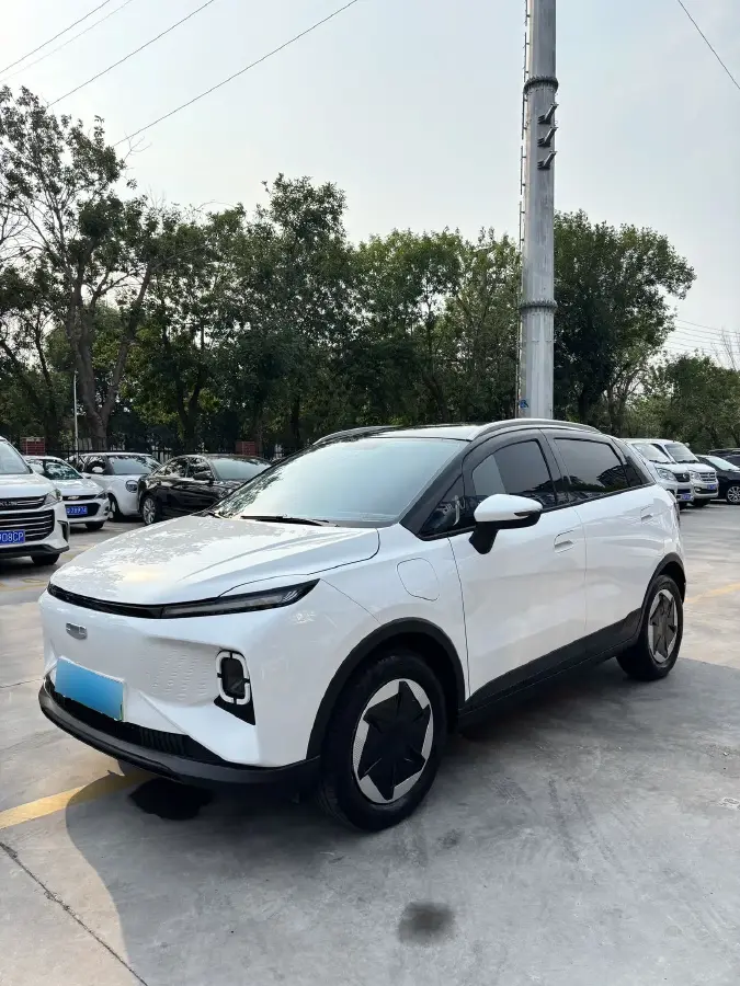 2024 Geometry E BEV 29.67KWH